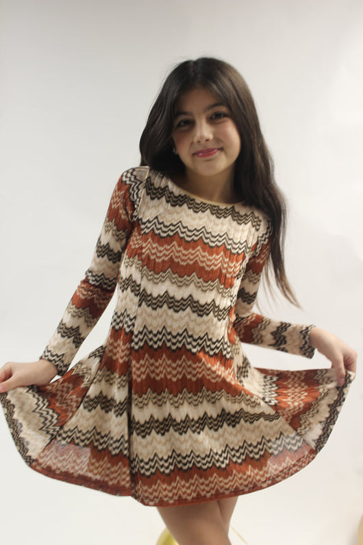 Spice Zig Zag L/S Fit & Flare Dress