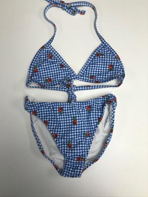Gingham Rose Bikini