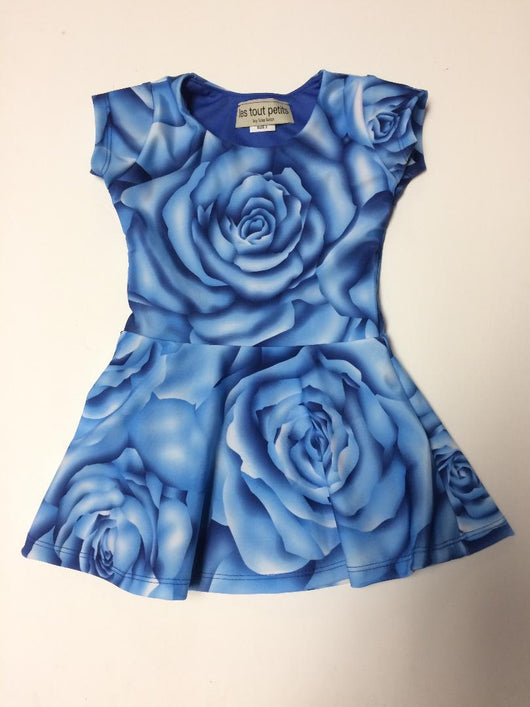 Blue Rose Short Sleeve Skater Dress