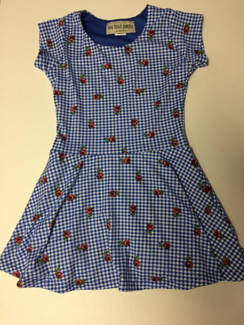 Gingham Rose Short Sleeve Skater Dress