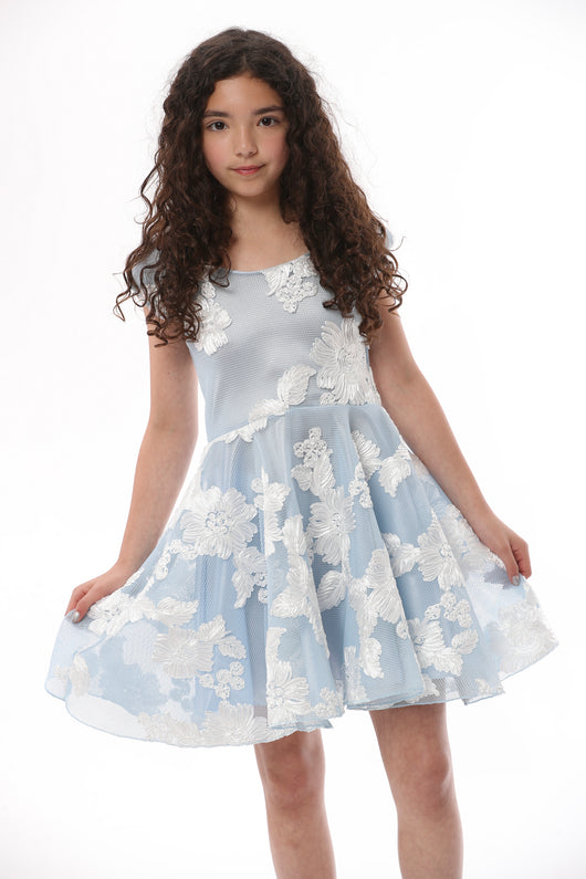 Blue White Embroidered Valentina Dress