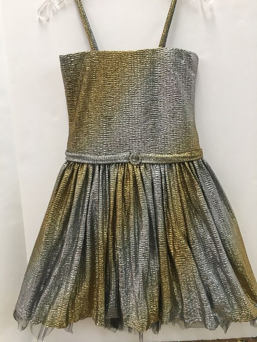 Gold/Silver Ombre Metallic Party Dress
