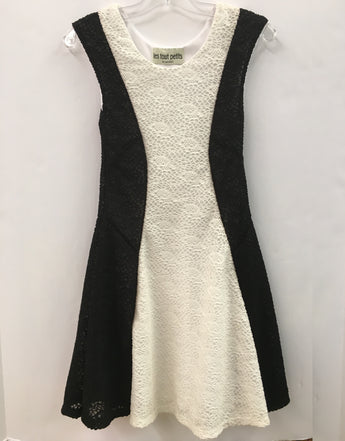 White & Black Web Fit/Flare Dress