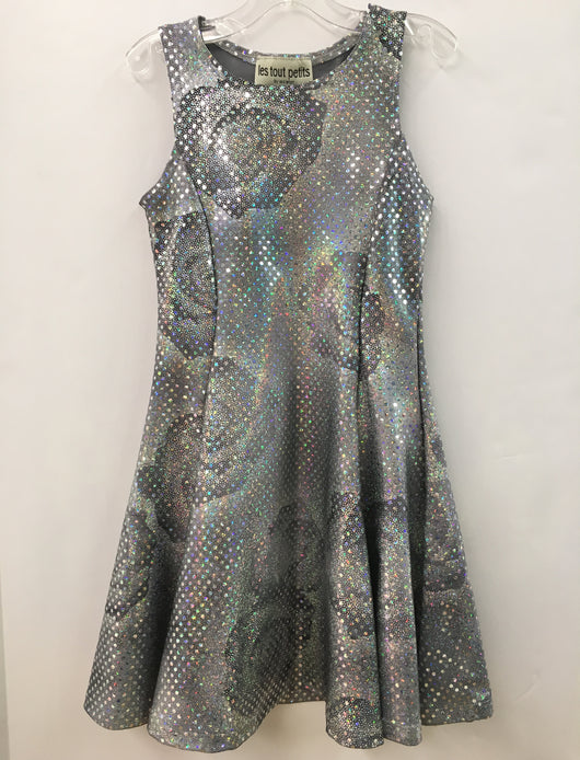 Silver Metallic Rose Sleeveless Fit/Flare Dress