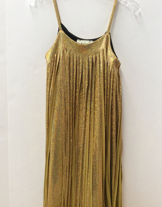 Gold Sparkle Fringe Dress