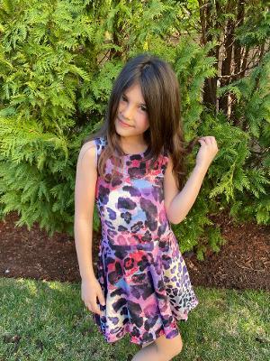 Berry Leopard Skater Dress